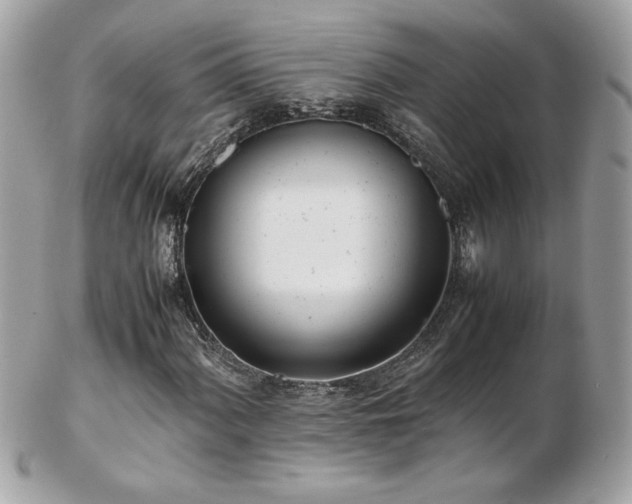 X0000103271060200808291235