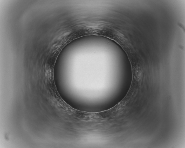 X0000103271061200808291235