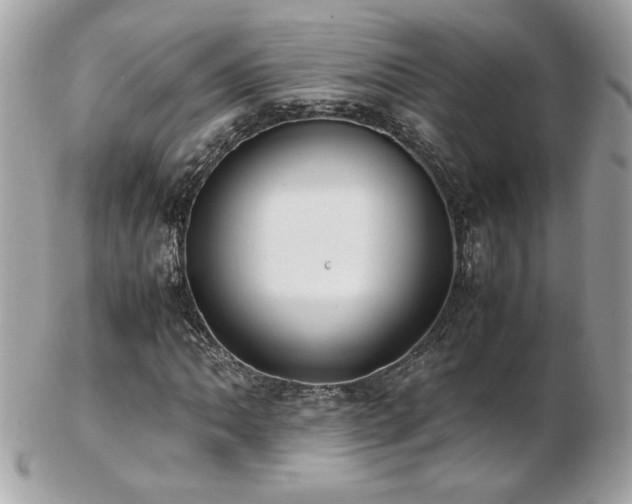 X0000103271062200808291235