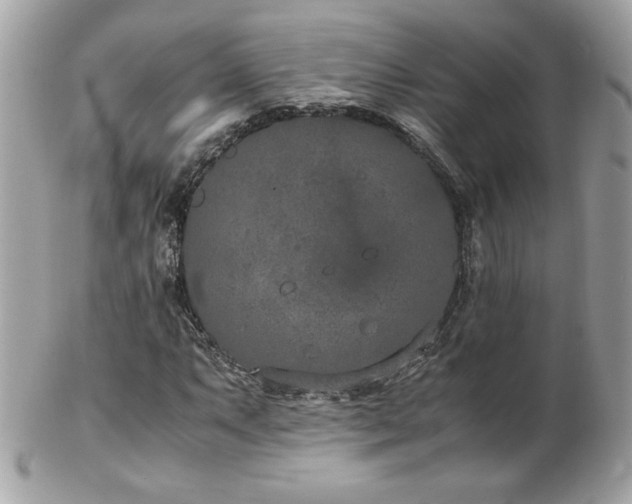 X0000103271063200808291235