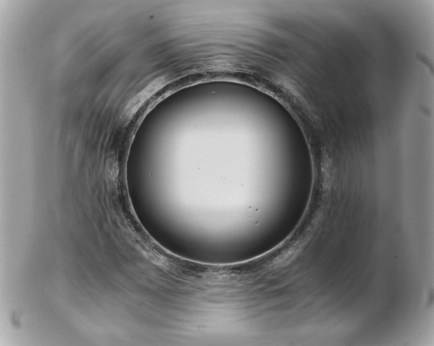 X0000103271065200808291235