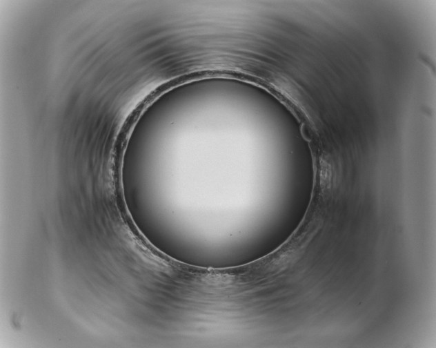 X0000103271068200808291235