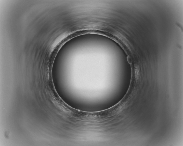 X0000103271069200808291235