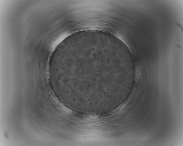 X0000103271071200808291235