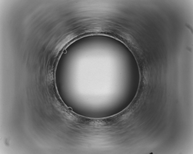 X0000103271073200808291235