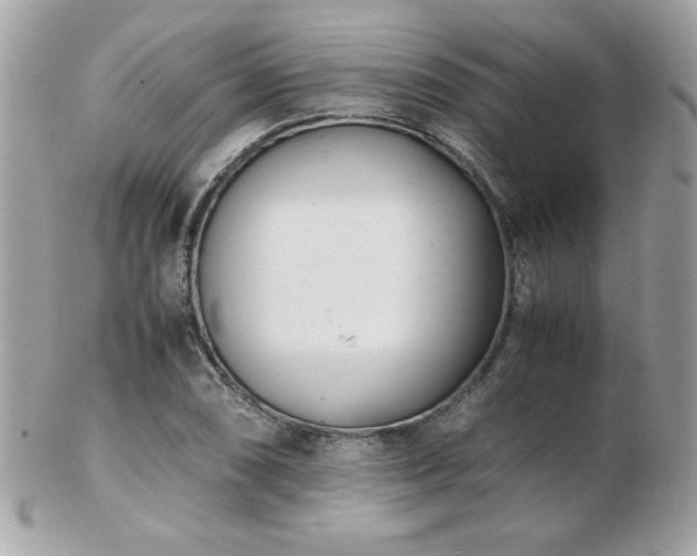 X0000103271074200808291235