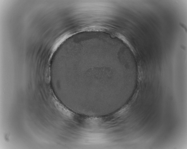 X0000103271075200808291235