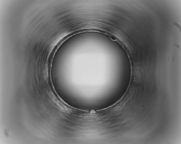 X0000103271076200808291235