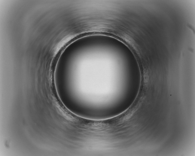 X0000103271077200808291235