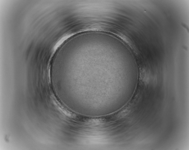 X0000103271078200808291235