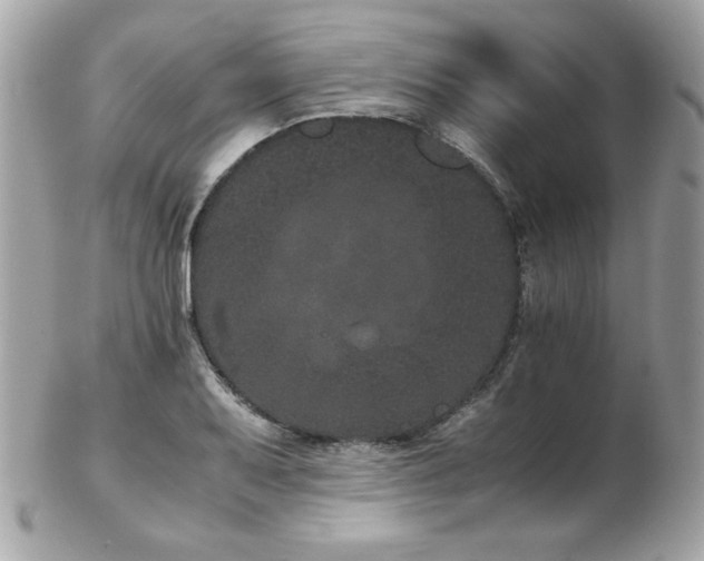 X0000103271079200808291235