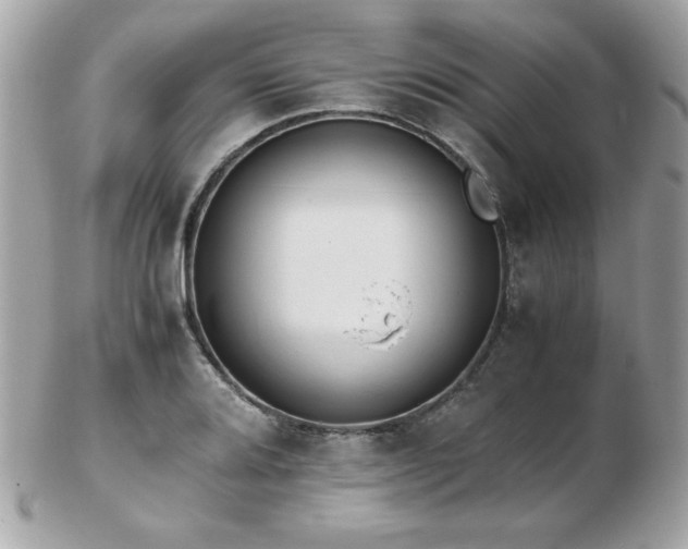 X0000103271080200808291235