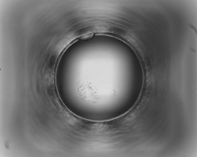 X0000103271081200808291235