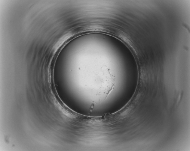 X0000103271082200808291235