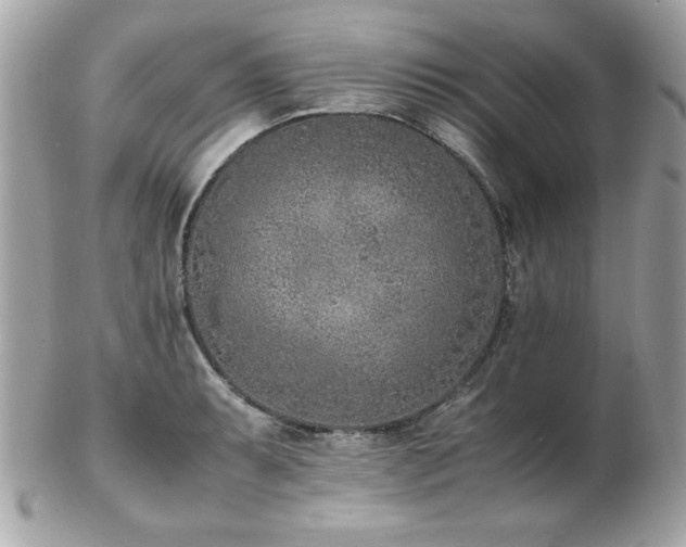 X0000103271087200808291235