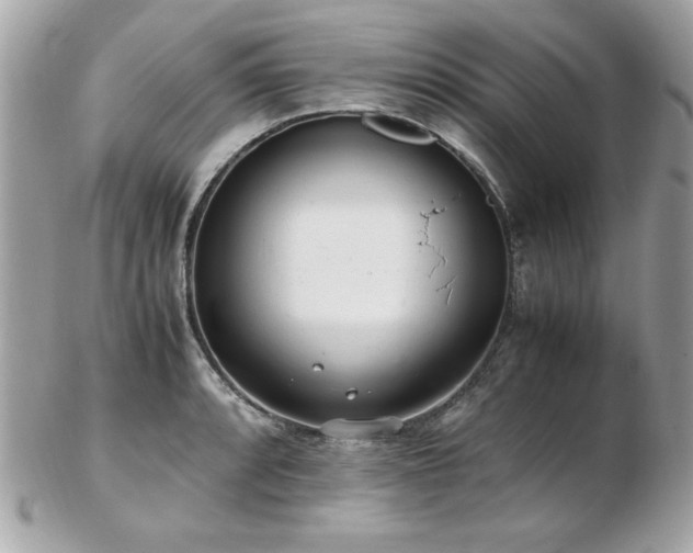 X0000103271088200808291235