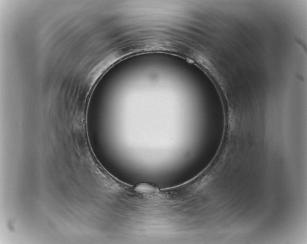 X0000103271089200808291234