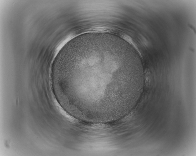 X0000103271091200808291234