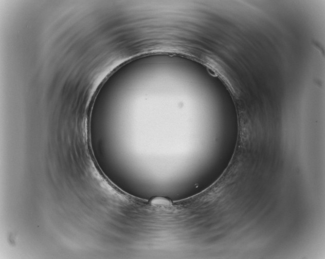 X0000103271092200808291234