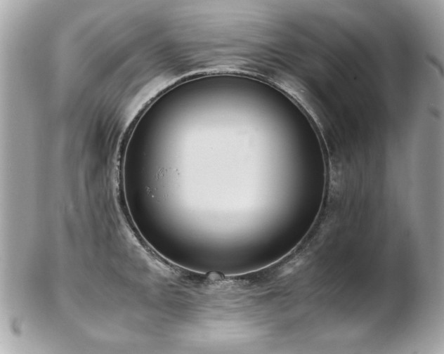 X0000103271093200808291234