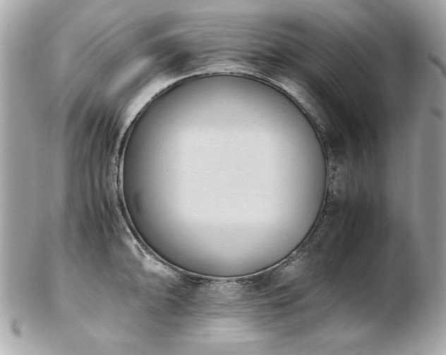 X0000103271094200808291234