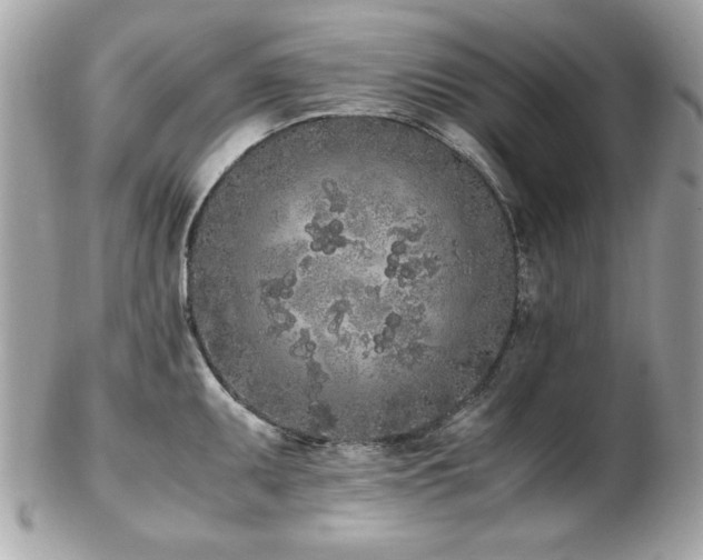 X0000103271095200808291234