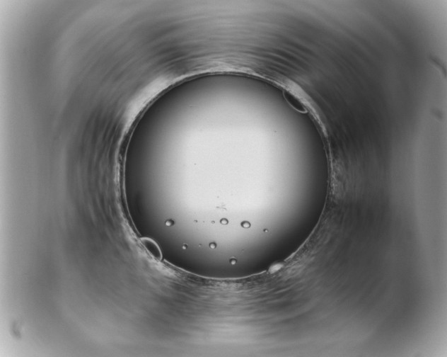 X0000103271096200808291234