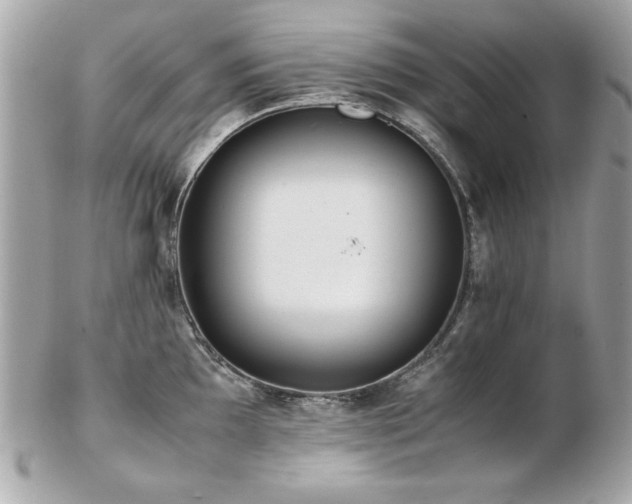 X0000103271097200808291234