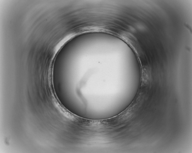 X0000103271098200808291234