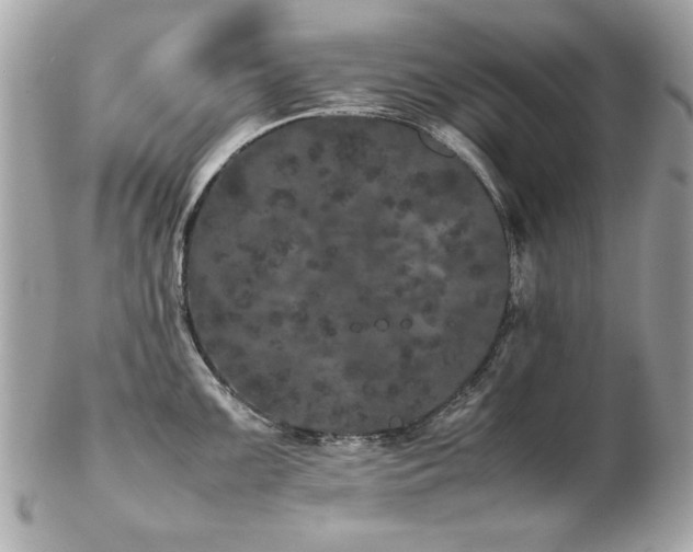 X0000103271099200808291234