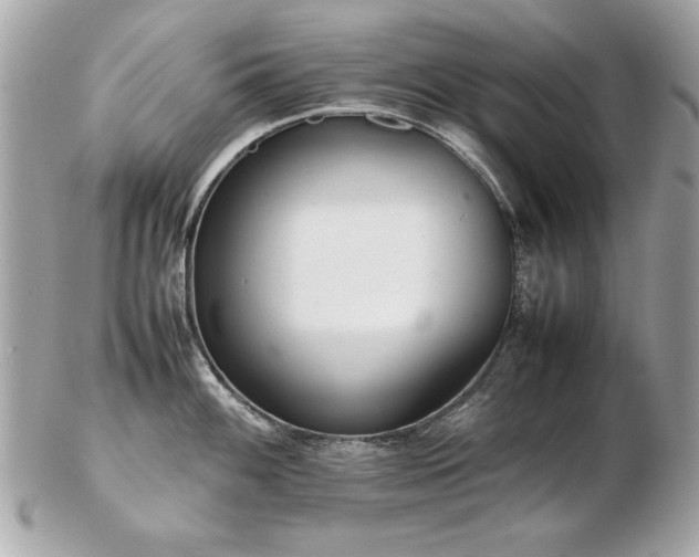 X0000103271100200808291234