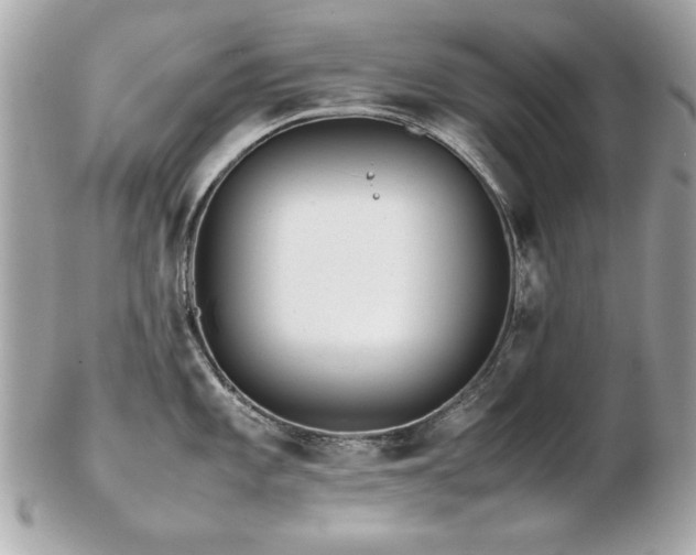 X0000103271101200808291234