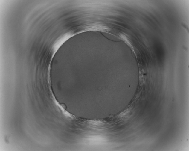 X0000103271103200808291234