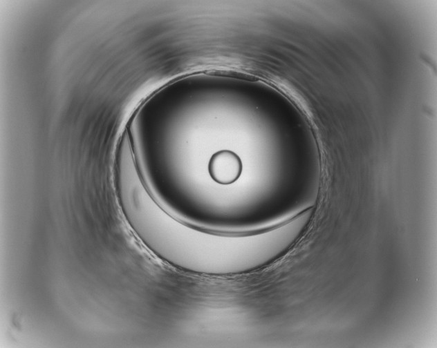 X0000103271104200808291234