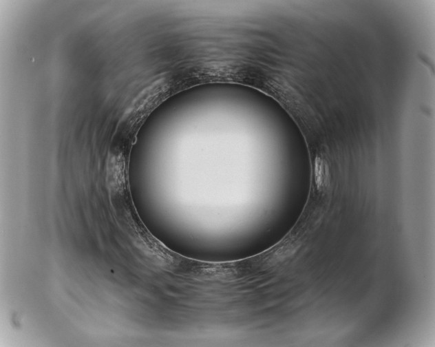 X0000103271107200808291233