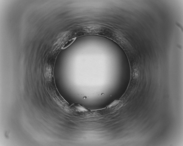 X0000103271108200808291233