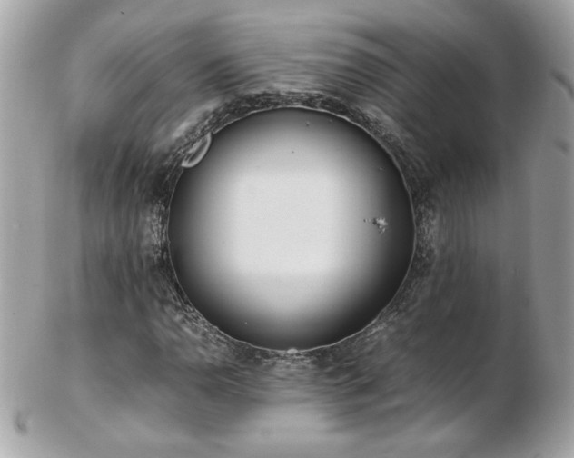 X0000103271110200808291234