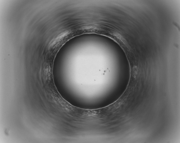 X0000103271111200808291234