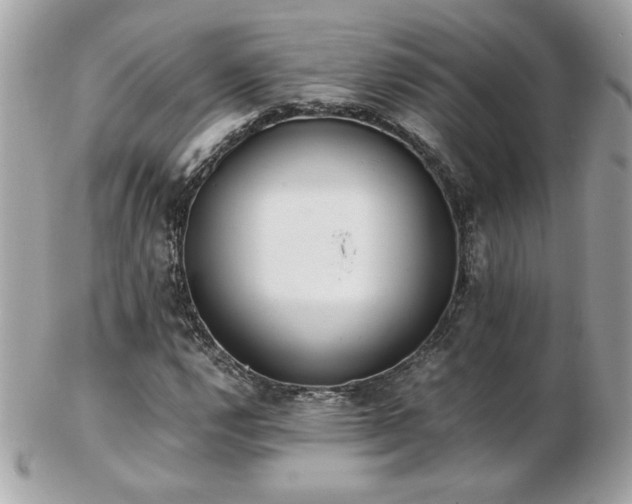 X0000103271112200808291234