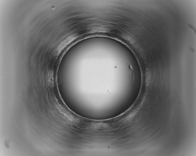 X0000103271113200808291234