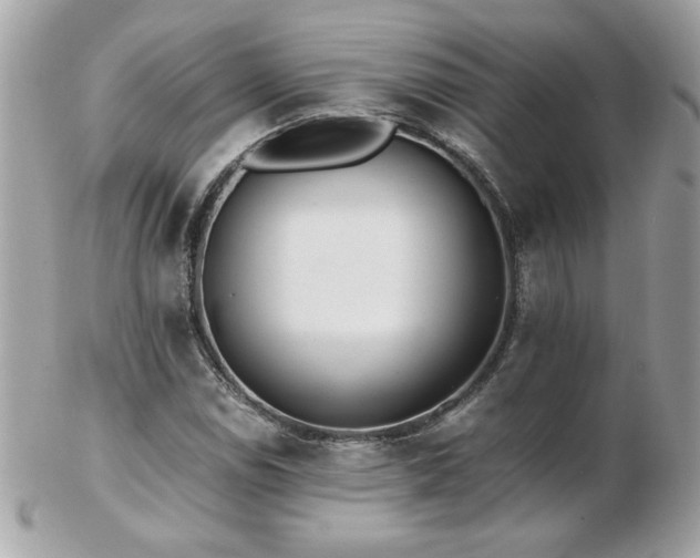 X0000103271114200808291234