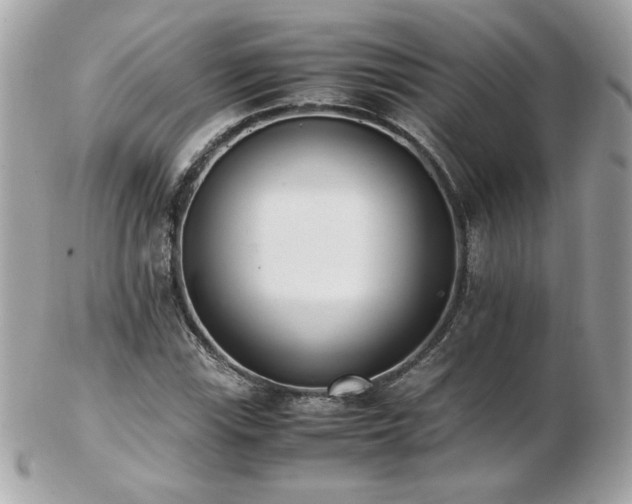 X0000103271115200808291234