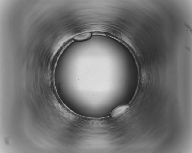 X0000103271116200808291234