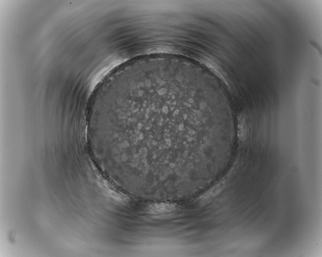 X0000103271117200808291234