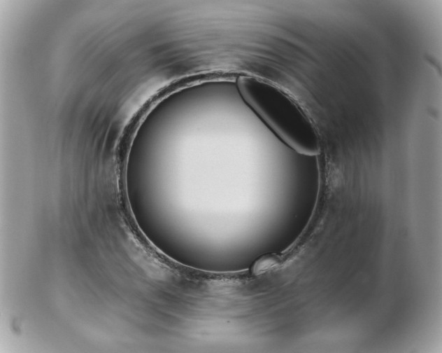 X0000103271118200808291234