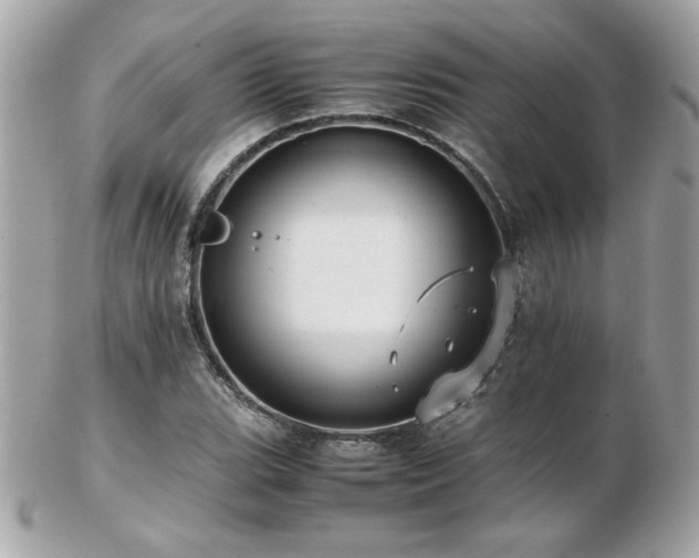 X0000103271119200808291234