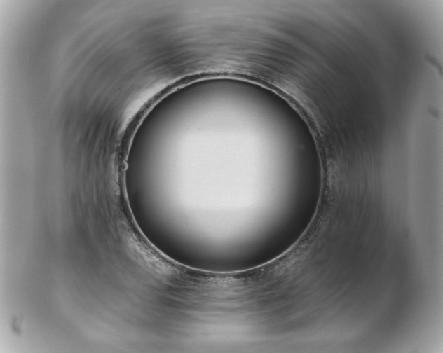 X0000103271120200808291234