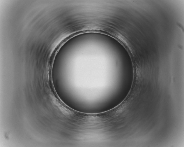 X0000103271124200808291234