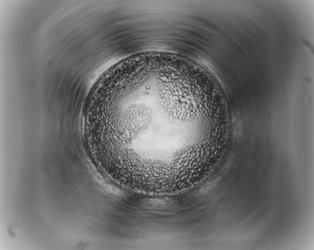 X0000103271125200808291234