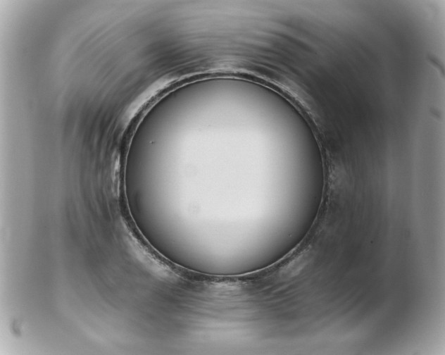 X0000103271126200808291234